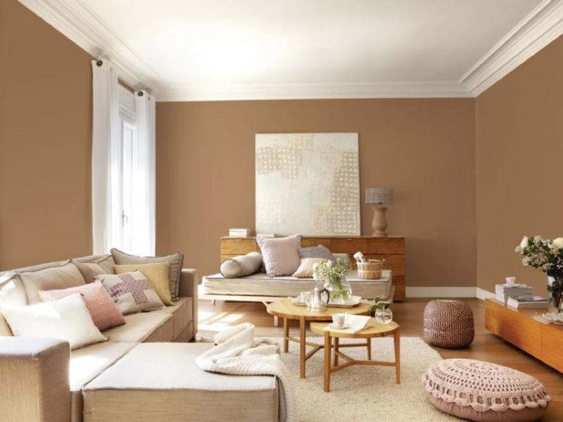Ev Dekorasyonunda Hangi Duvar Renkleri Moda?